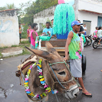  Carnaval_Cantanhede_Bloco_Cana_Limao_2012