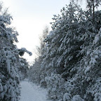 3-1-2010-032.jpg