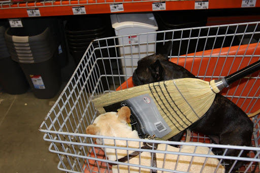 Hey, what's this?  A broom?  I guess it can fit.
