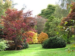 IMG_0676
