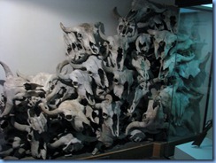1114 Alberta Hwy 785 West - Head-Smashed-In Buffalo Jump Interpretive Centre 1114 Alberta Hwy 785 West - Head-Smashed-In Buffalo Jump Interpretive Centre