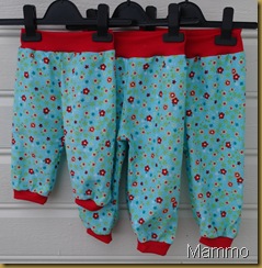 SAM_1151 SAM_1151
