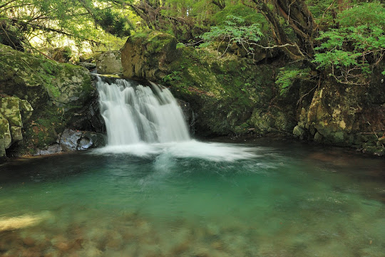 にわとり淵滝