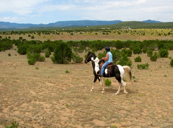 [IMG_5006%255B5%255D.jpg]