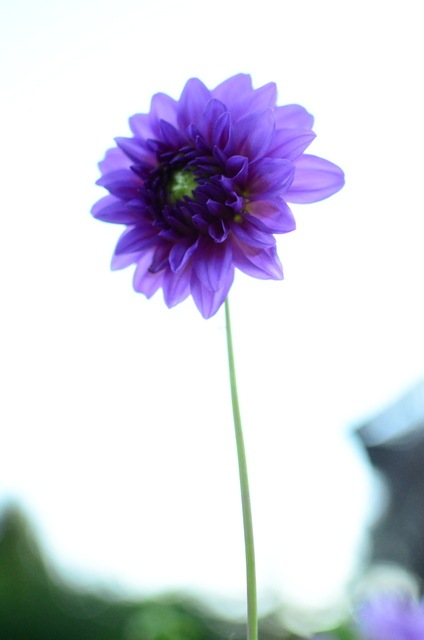 [DSC_0083%255B4%255D.jpg]