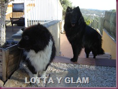 lotta y glam 004 lotta y glam 004