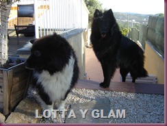 lotta y glam 004