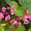20091227-IMGP3366.jpg