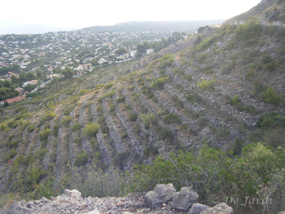 2012_09250027.jpg