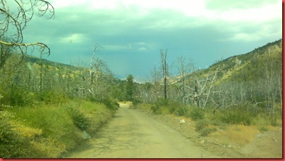 07302011099