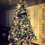 Nicole gets her tree