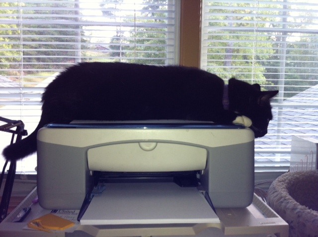 [printer%2520kitty%255B2%255D.jpg]