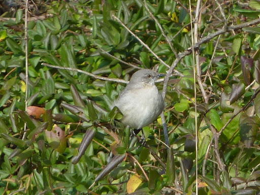 P1110194