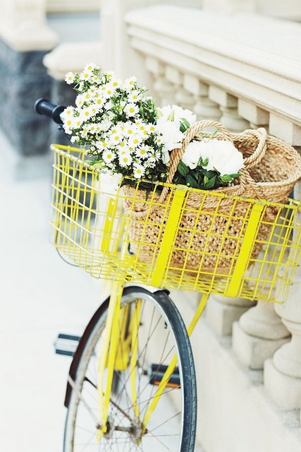 [Gul%2520cykelkorg%252C%2520Pinterest%255B3%255D.jpg]