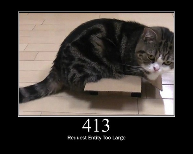 [HTTP-Status-Cats-14%255B2%255D.jpg]