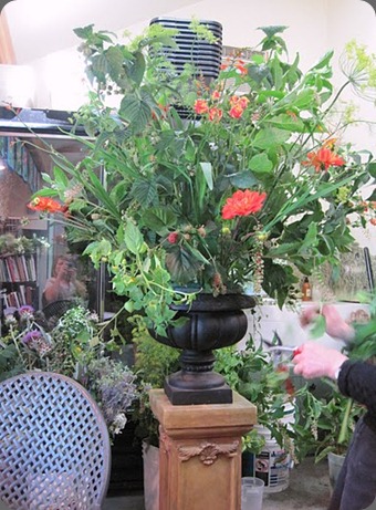 7A francoiseIMG_4546 7A francoiseIMG_4546