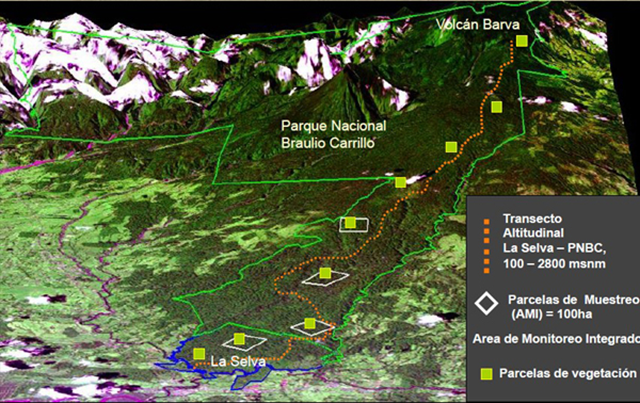 Tropical tree communities are moving up mountainsides to cooler habitats as temperatures rise, a study in Global Change Biology has found. This map shows the research team's study plots (green squares) in Volcán Barva, Costa Rica, stretching from the lowlands up the mountain to a height of 2800 metres. Graphic: Johanna Hurtado