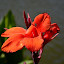 DSC_0479.JPG