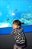 IMG_6555 IMG_6555