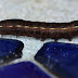 20100704_25