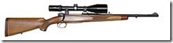 250px-Modern_Hunting_Rifle