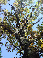 DSC00171.JPG