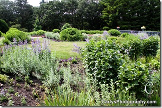 St Cloud Gardens-35