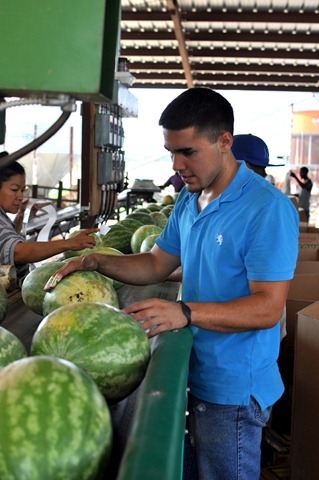 [watermelons%252011%25200705%2520%2528121%2529%255B6%255D.jpg]