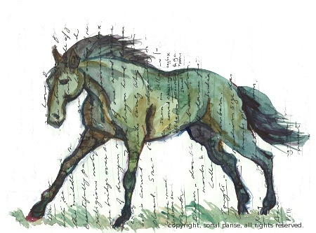 [Horse1a4.jpg]