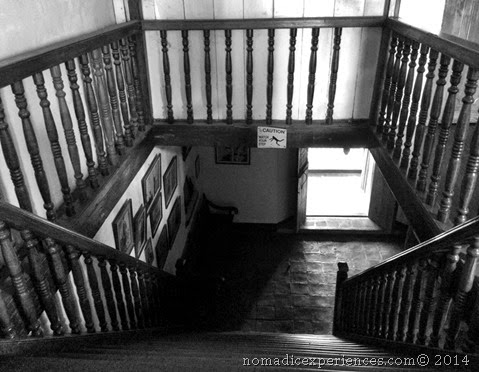 IMG_2336 IMG_2336