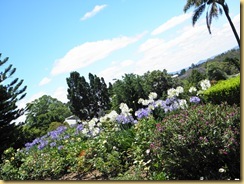 Garden View Garden View