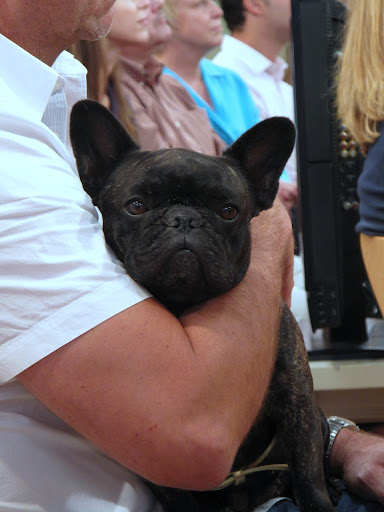 Such big, strong arms! - but, a little heavy with the cologne.  And what's with that chin stubble?