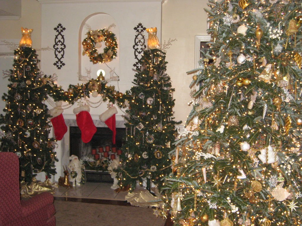 [Living-room-25.jpg]