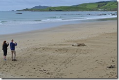 DSC_3749 DSC_3749