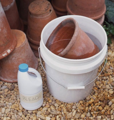 [disinfectclaypots1.jpg]