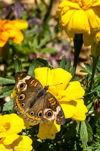 [130527_EE-8%255B4%255D.jpg]