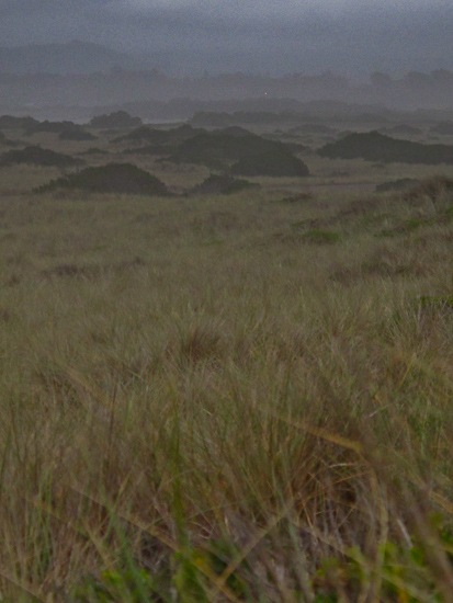 Bullards Beach State Park