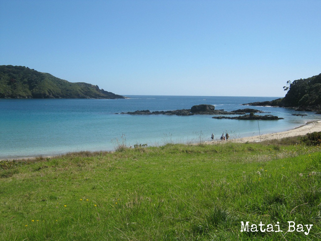 [Matai%2520bay%255B5%255D.jpg]