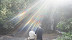DSC04253.JPG