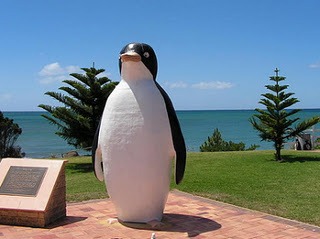 [Big%2520Penguin%255B5%255D.jpg]