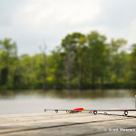 IMG_8509.jpg