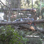 2012-08-06 17.55.51.jpg