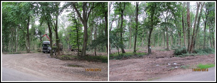 All Oaks Wood All Oaks Wood