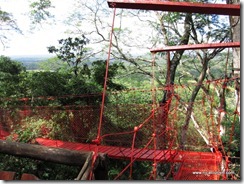 IMG_2362 IMG_2362