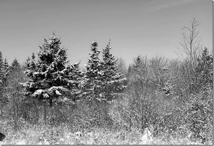 IMG_3033 IMG_3033
