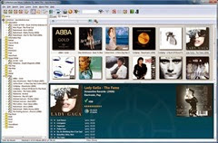 Collectorz.com Music Collector Pro 10.3.1   Crack