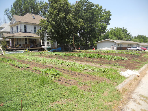 This 1/4 acre front garden, near Missouri Avenue and StateStreet, is just part of the Urban Roots Farm.
(Photo credit: Samuel Crowe)