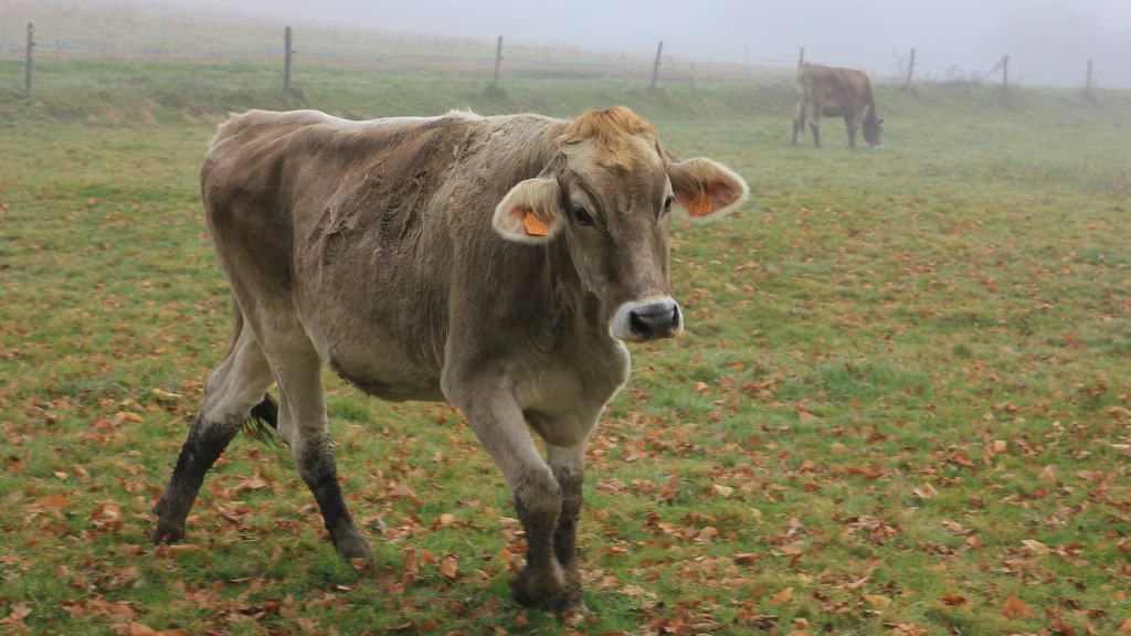 [IMG_6056%255B3%255D.jpg]