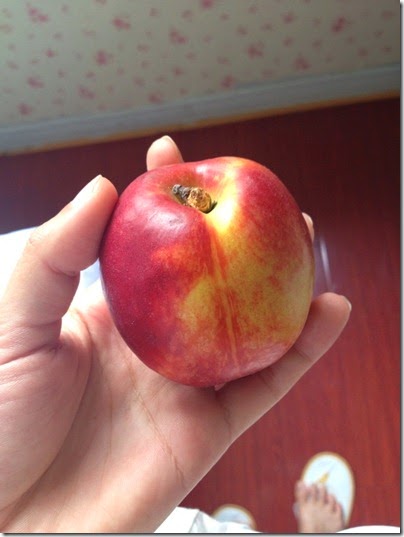 Nectarine or oil peach 油桃