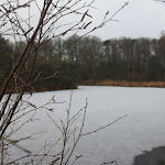 IMG_4966.JPG